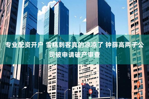 专业配资开户 雪糕刺客真的凉凉了 钟薛高两子公司被申请破产审查